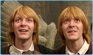 _40198821_twins300.jpg